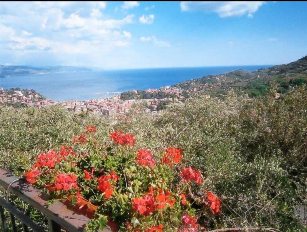 Agriturismo Portofino - 4