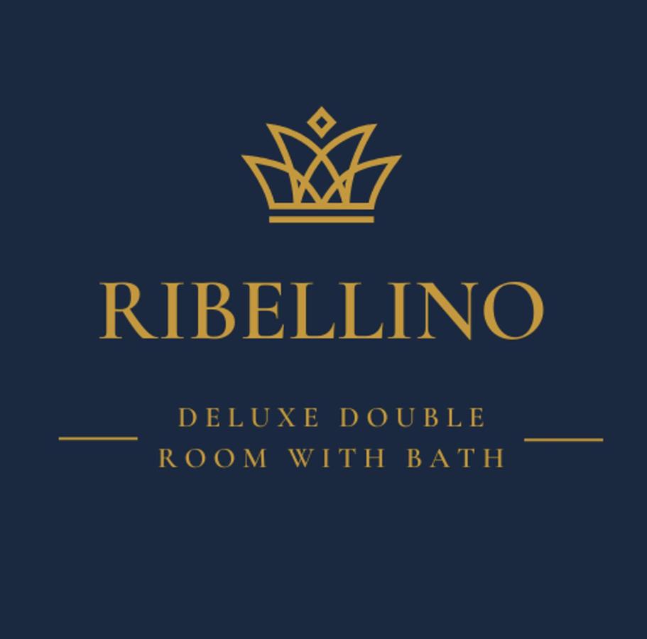 Dog Admiral - Urban Guest House - 5