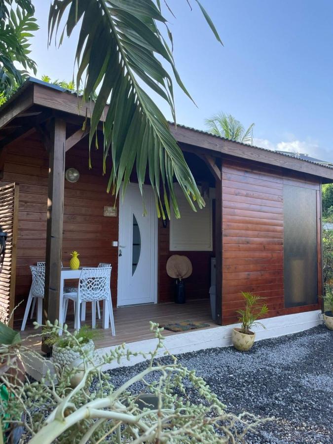 Bienvenue au cocon de Moreau