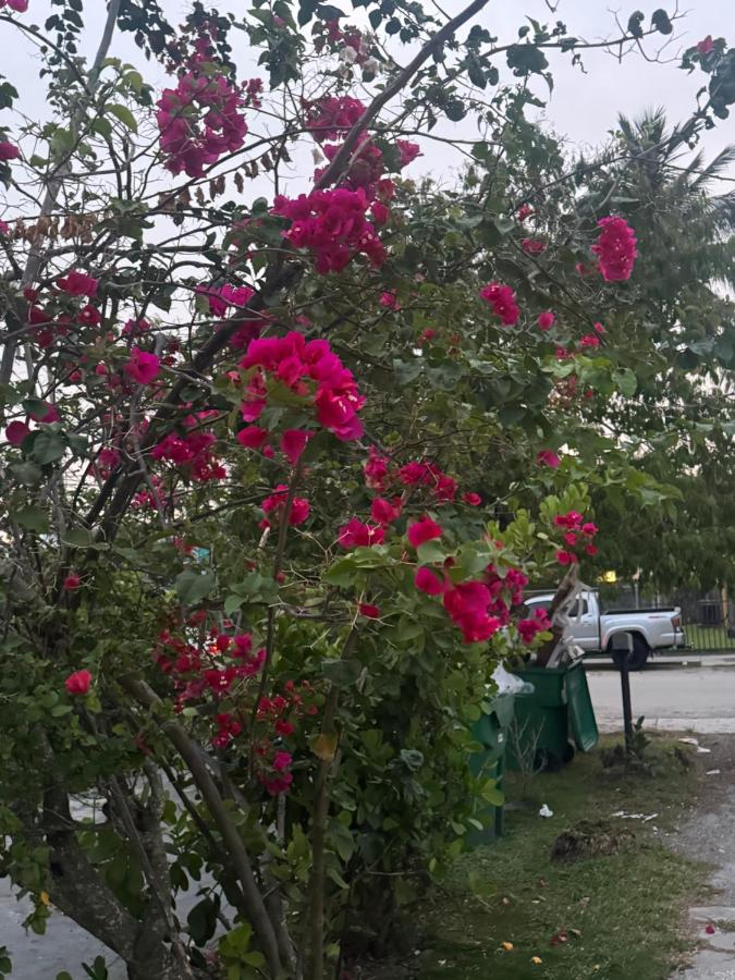 Wynwood Beds — photo 4
