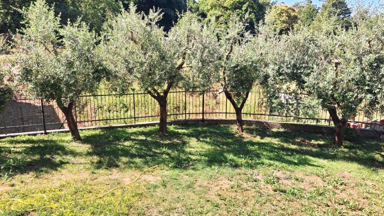 La Casa del Pozzo - 3
