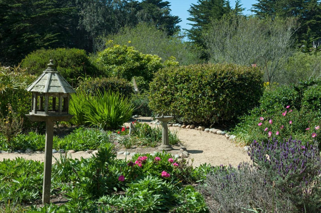 Seal Cove Inn — photo 15