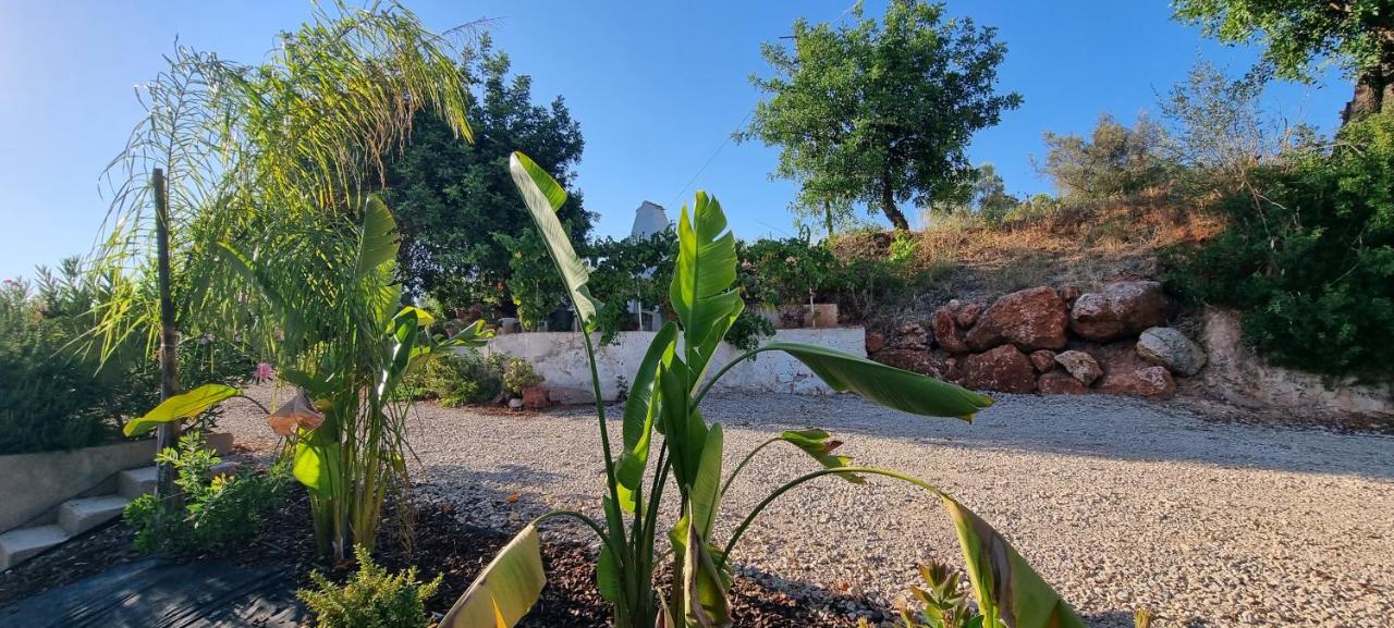 Casa de ferias escapadas casa amorosa Tranquilidade e natureza 2 quartos 6 pessoas - 5