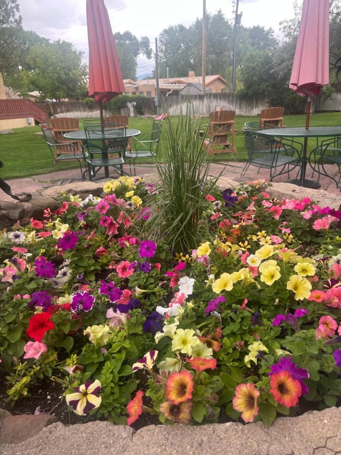 El Pueblo Lodge — photo 11