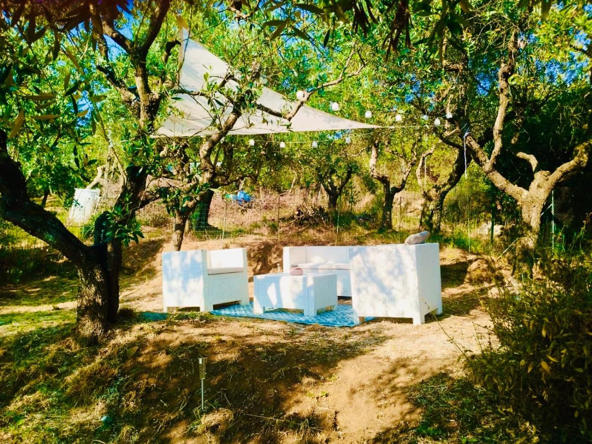 Casa Isabella- Barbecue, Giardino - 4