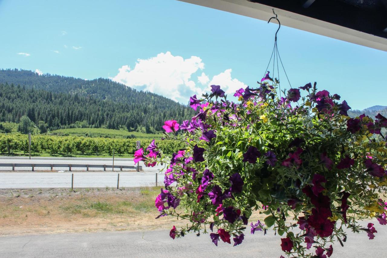 Wedge Mountain Inn — photo 23