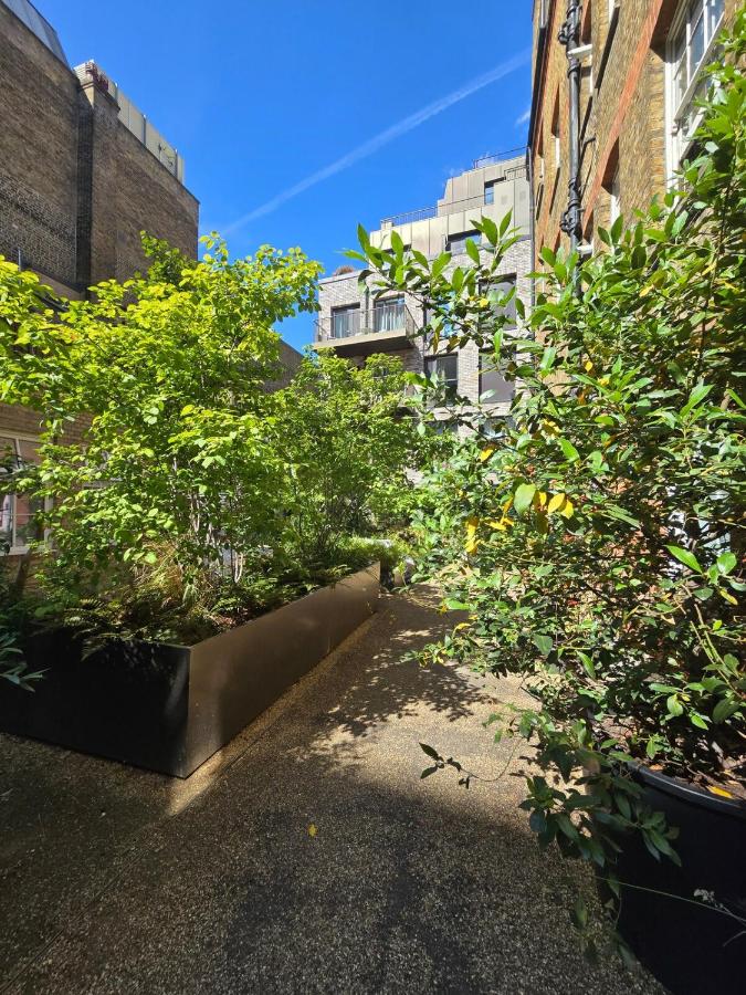 Covent Garden Stunning Flat - 5