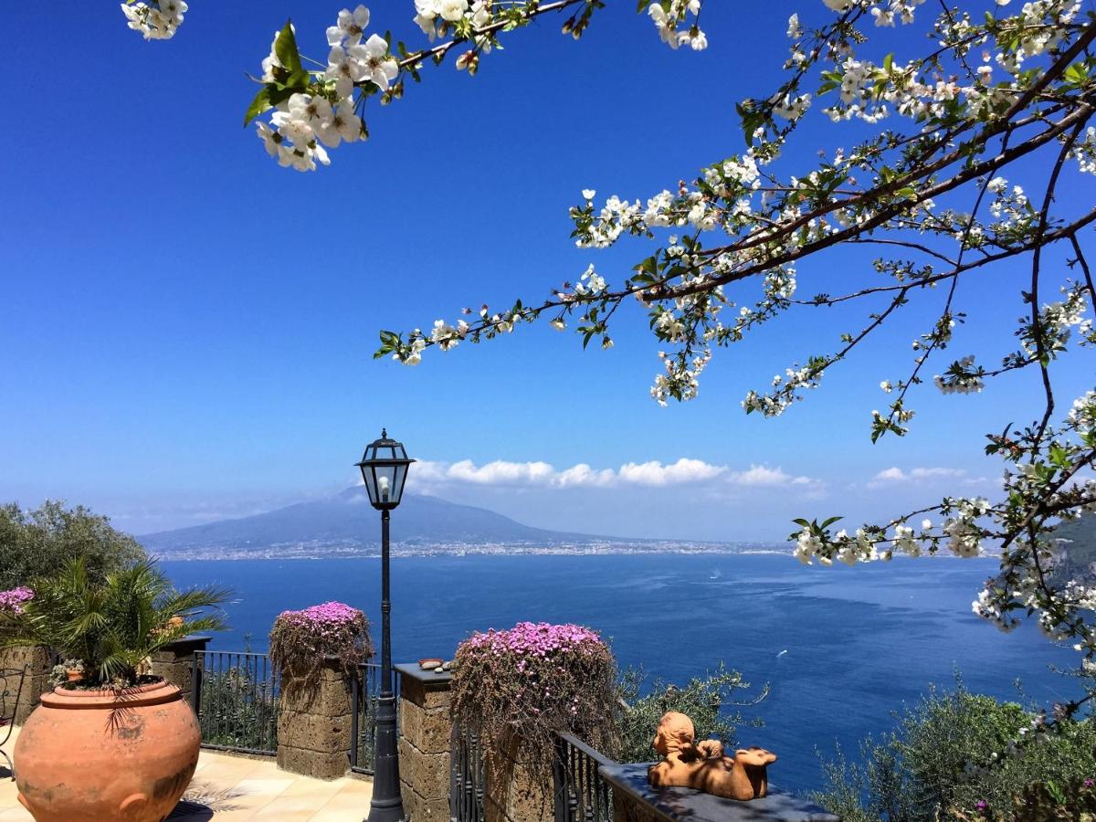 Villa Denise photo