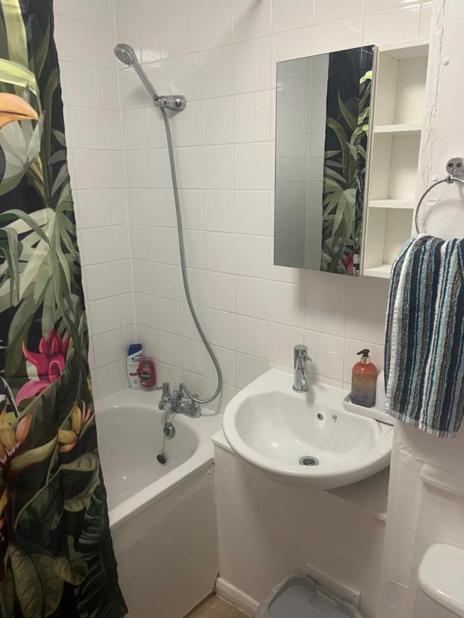 Lovely One Bedroom Flat Near Bermondsey Station Walk to the River and Southwark Park - 3