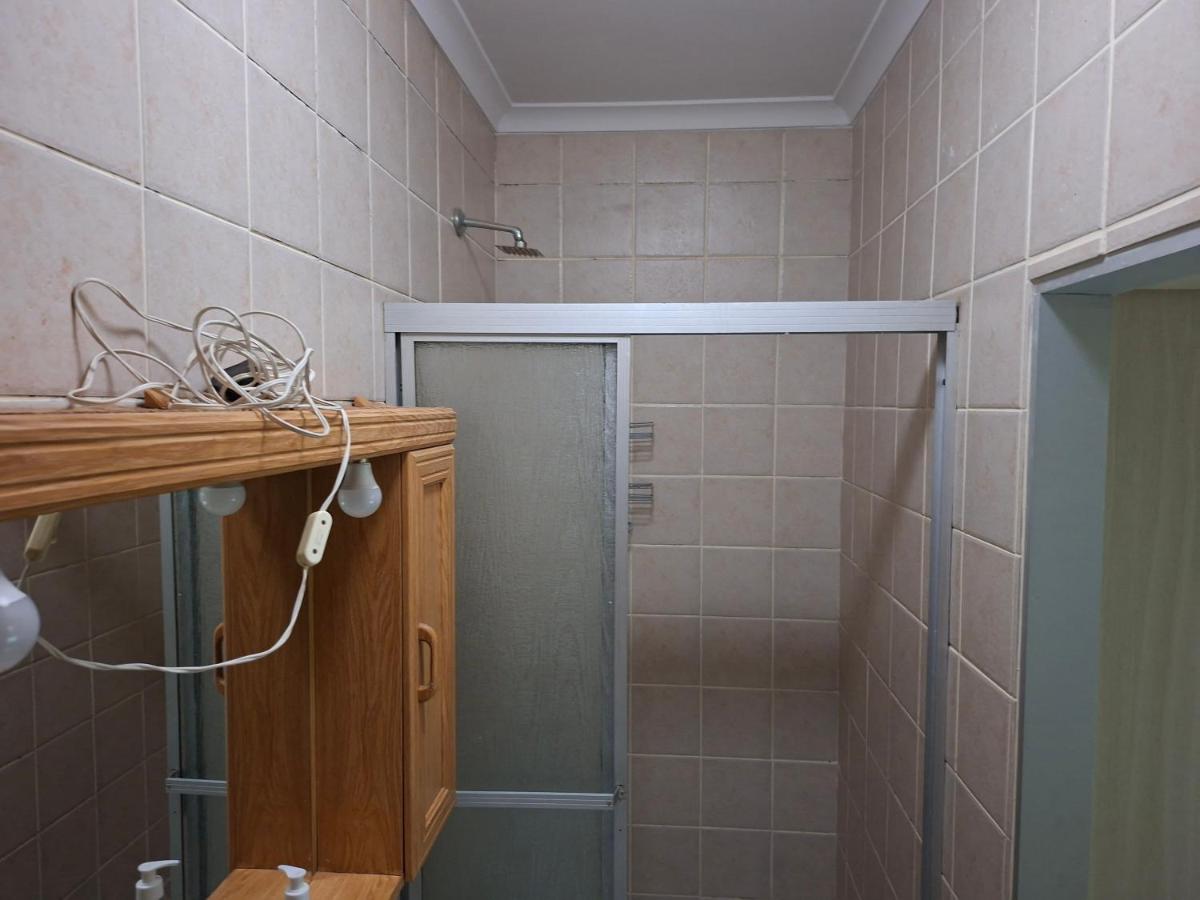 Leigh's home with dogs - 3