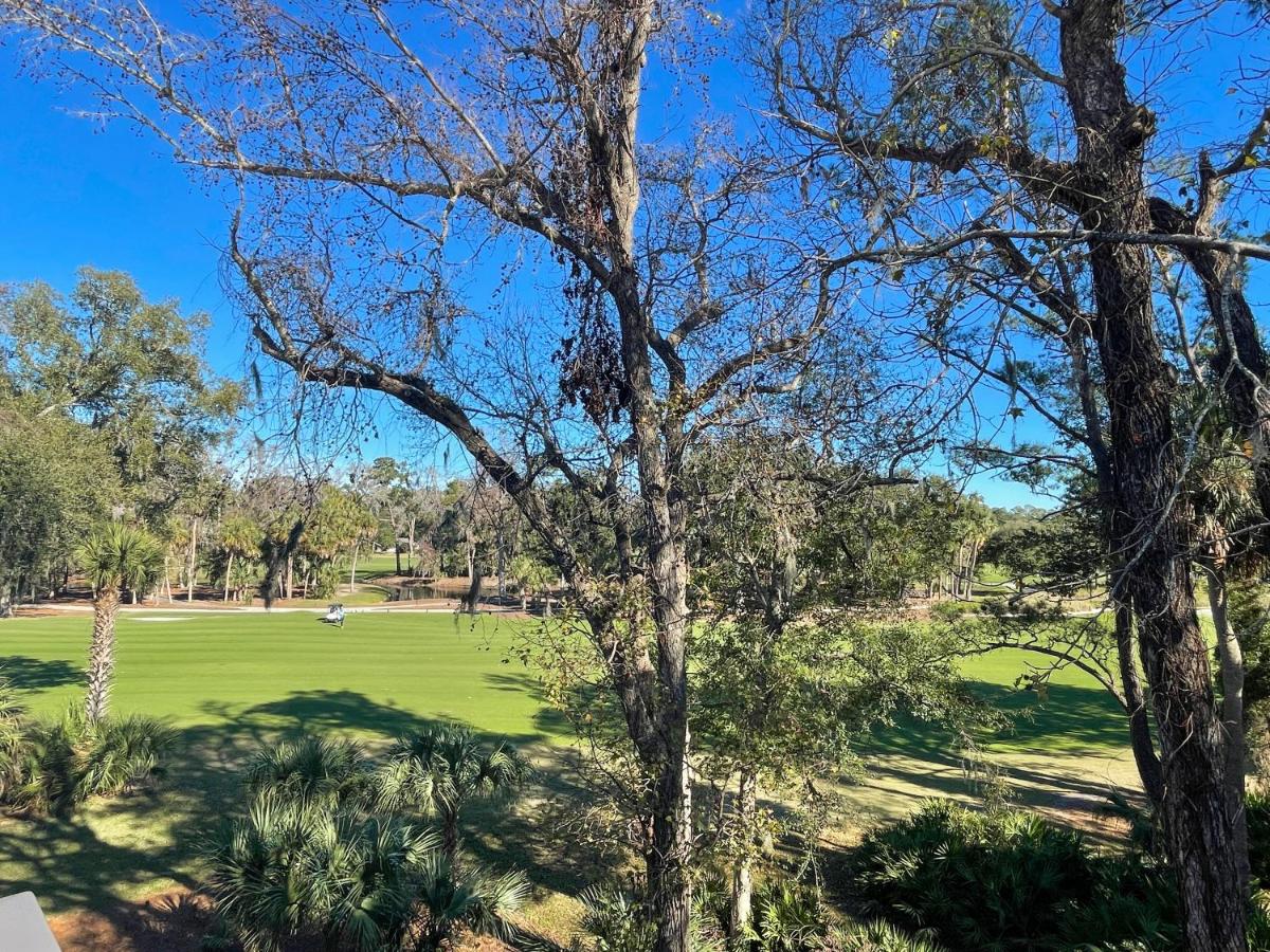 Plantation Club Villas, Regime 20 — photo 16