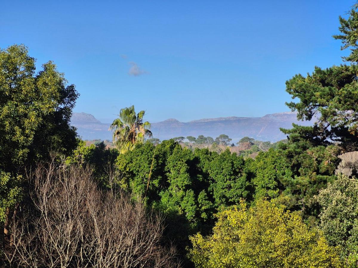 Jumanji Safaris Villa Constantia - 4