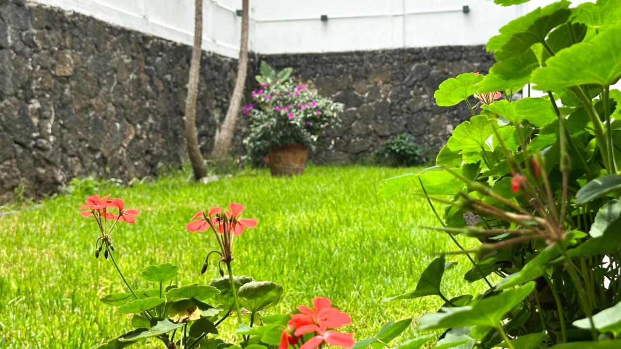 Toronja C O V A D O N G A - 4