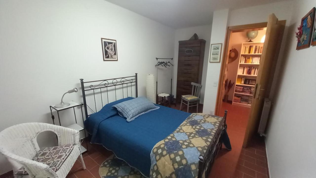 L'Ulivo, alloggio in seminterrato - 2