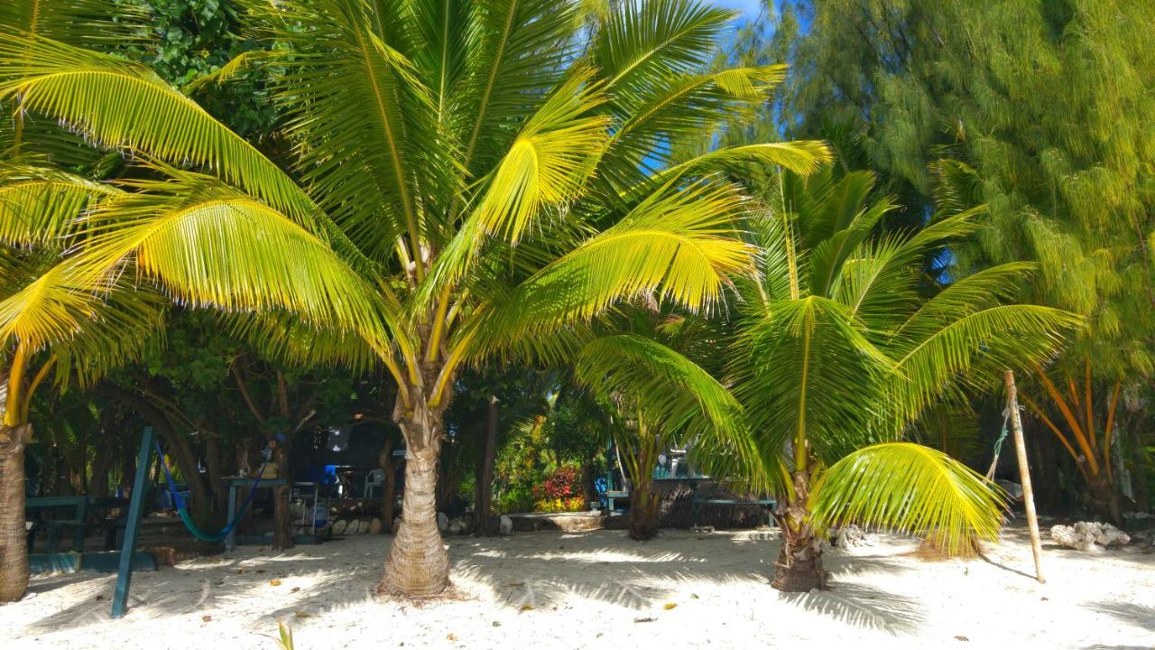 Beach: Matriki Beach Huts