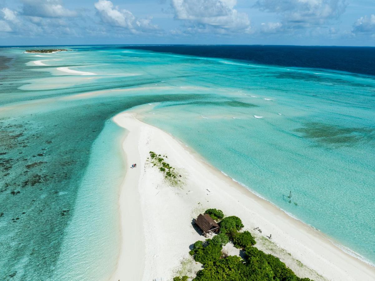 Whale Shark Boutique - 3