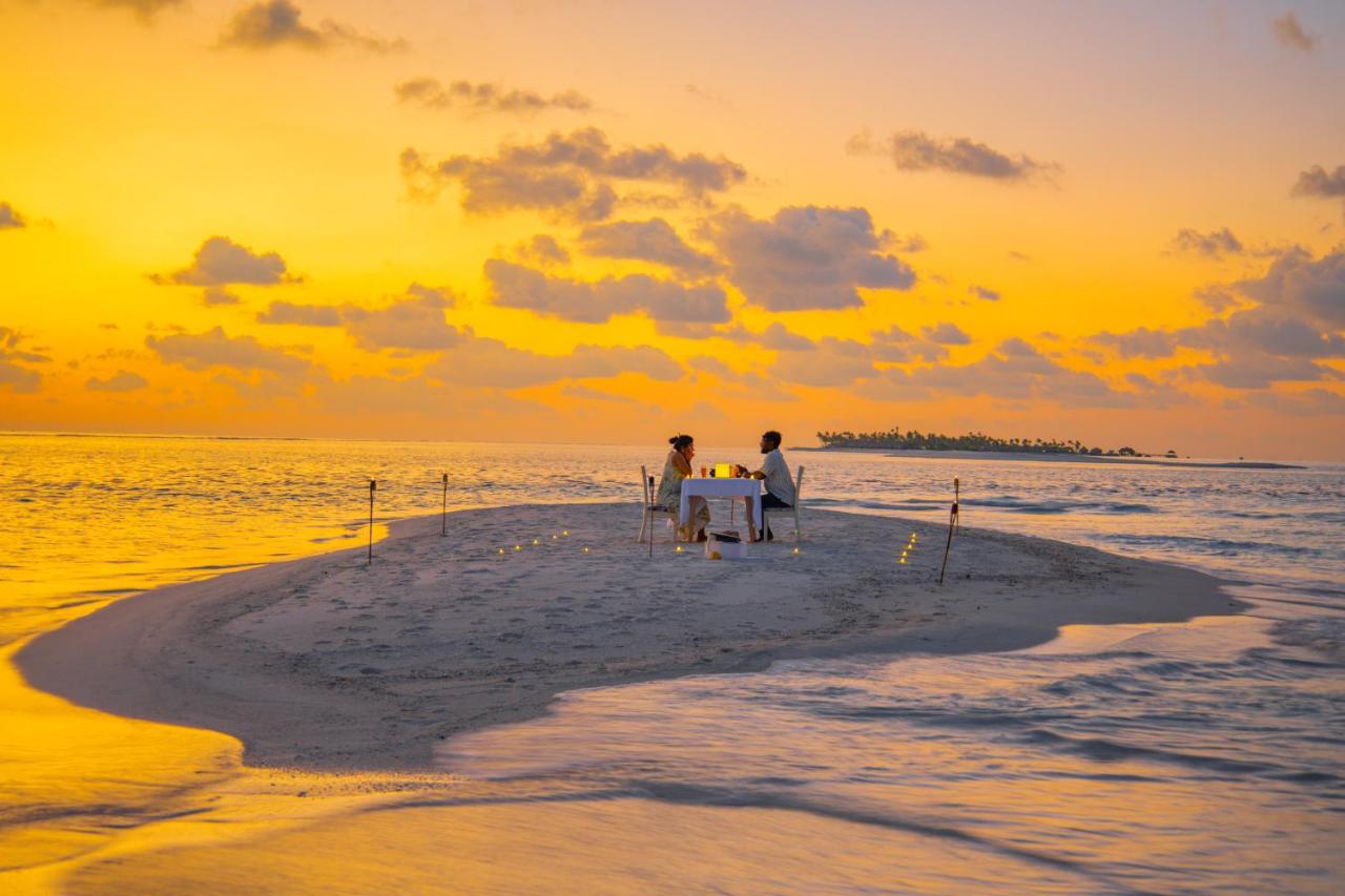 Whale Shark Boutique - 5