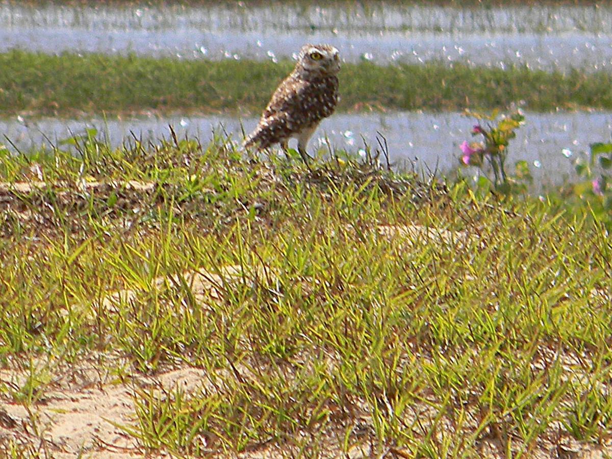 Pousada Três Lagoas photo