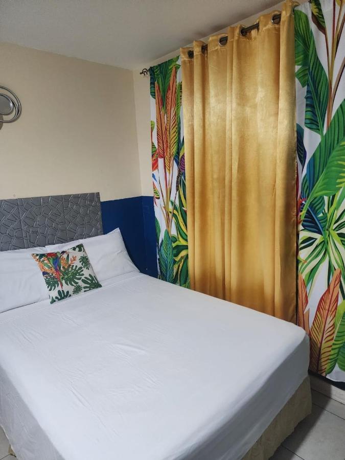 Pearl of the City TROPICAL PEARL - 2