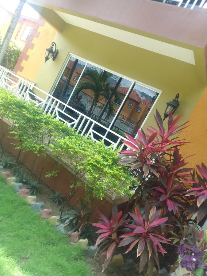 Border love apt 3 - 2