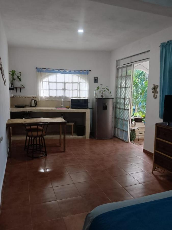 Villa Igor - 5