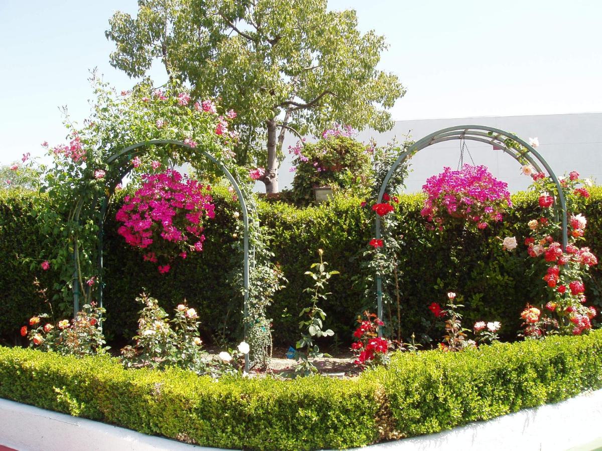 Laguna Hills Lodge-Irvine Spectrum — photo 18