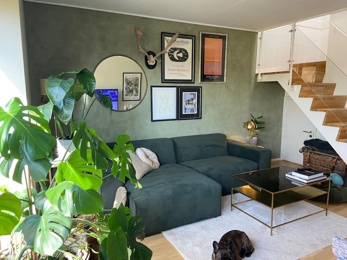 Contemporary and Luxurious - 2