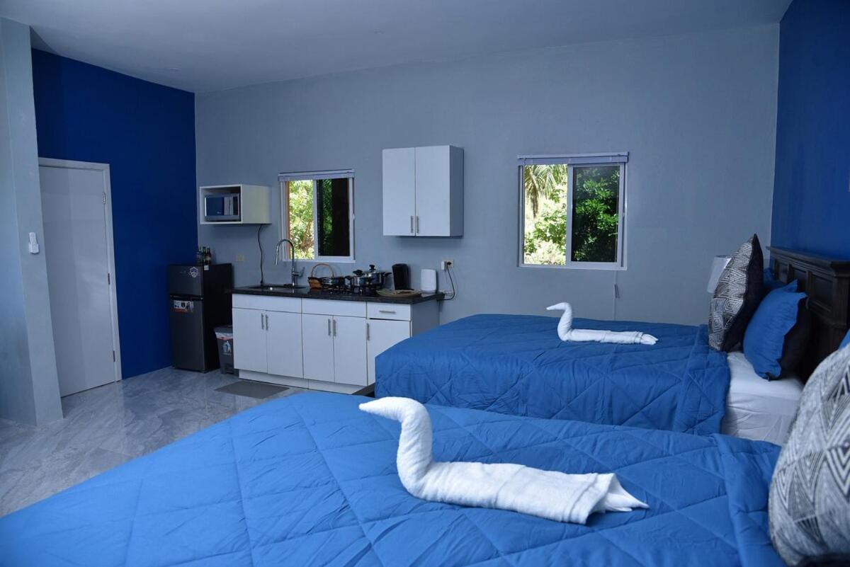 LS Stonethrow - Sapphire Deluxe - 4