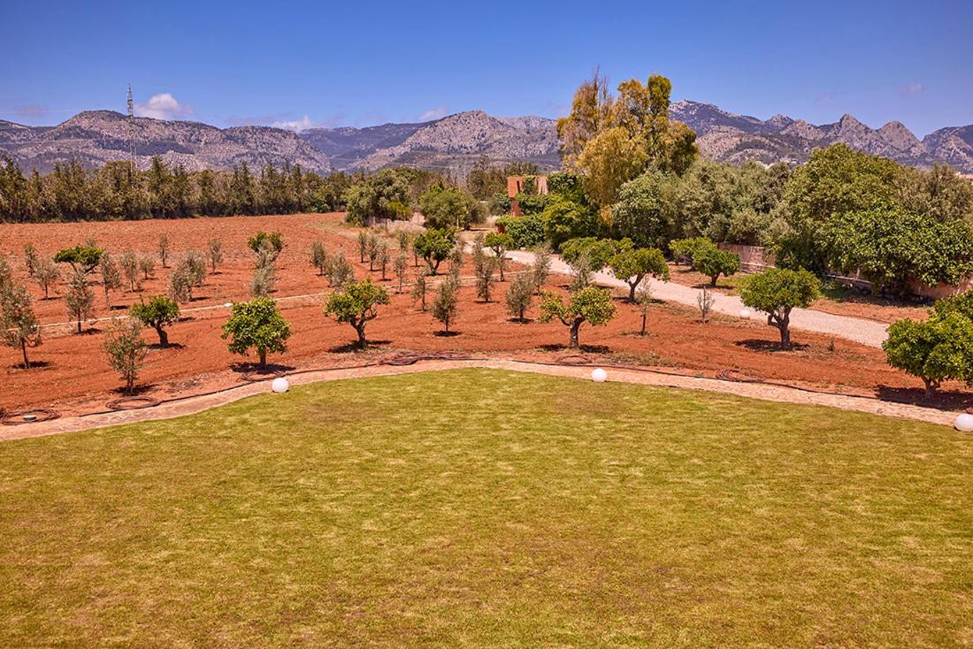 Fincahotel Los Naranjos - 2