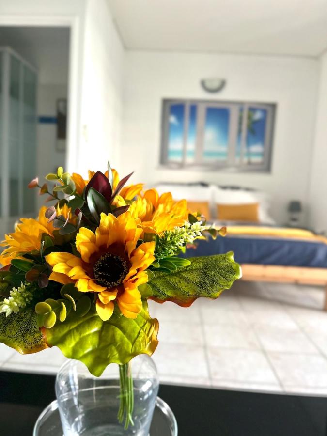 Marina Sun Tropic - 5