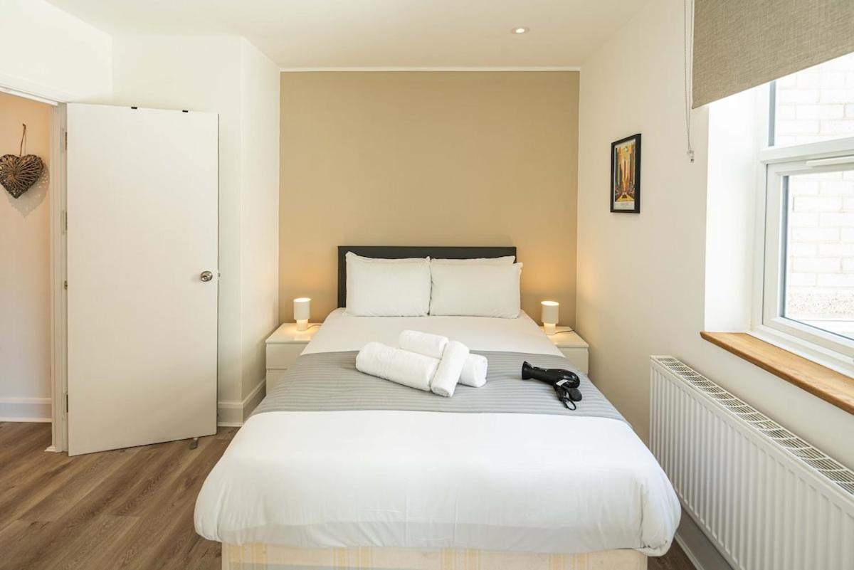 The Soho Carolina - NEW - 2