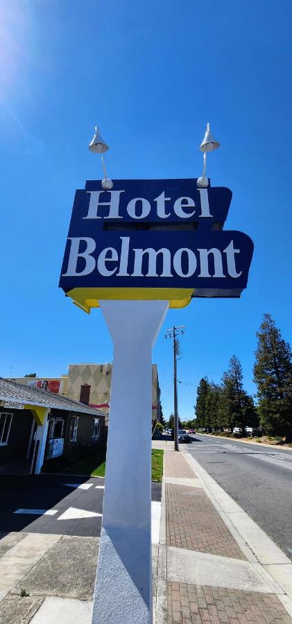 Belmont Palms — photo 12