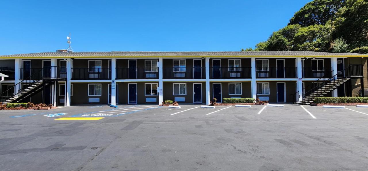 Belmont Palms — photo 18