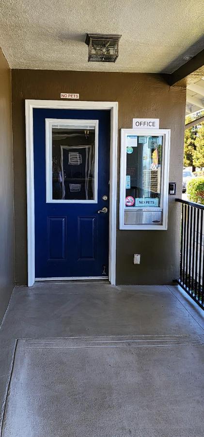 Belmont Palms — photo 20