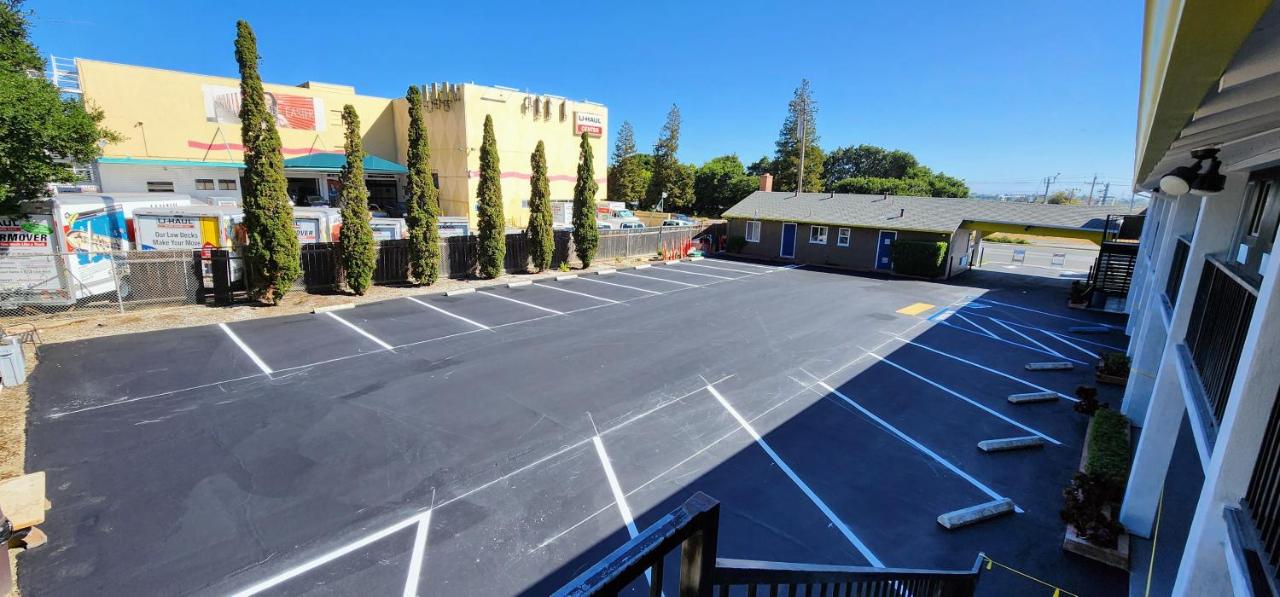 Belmont Palms — photo 23