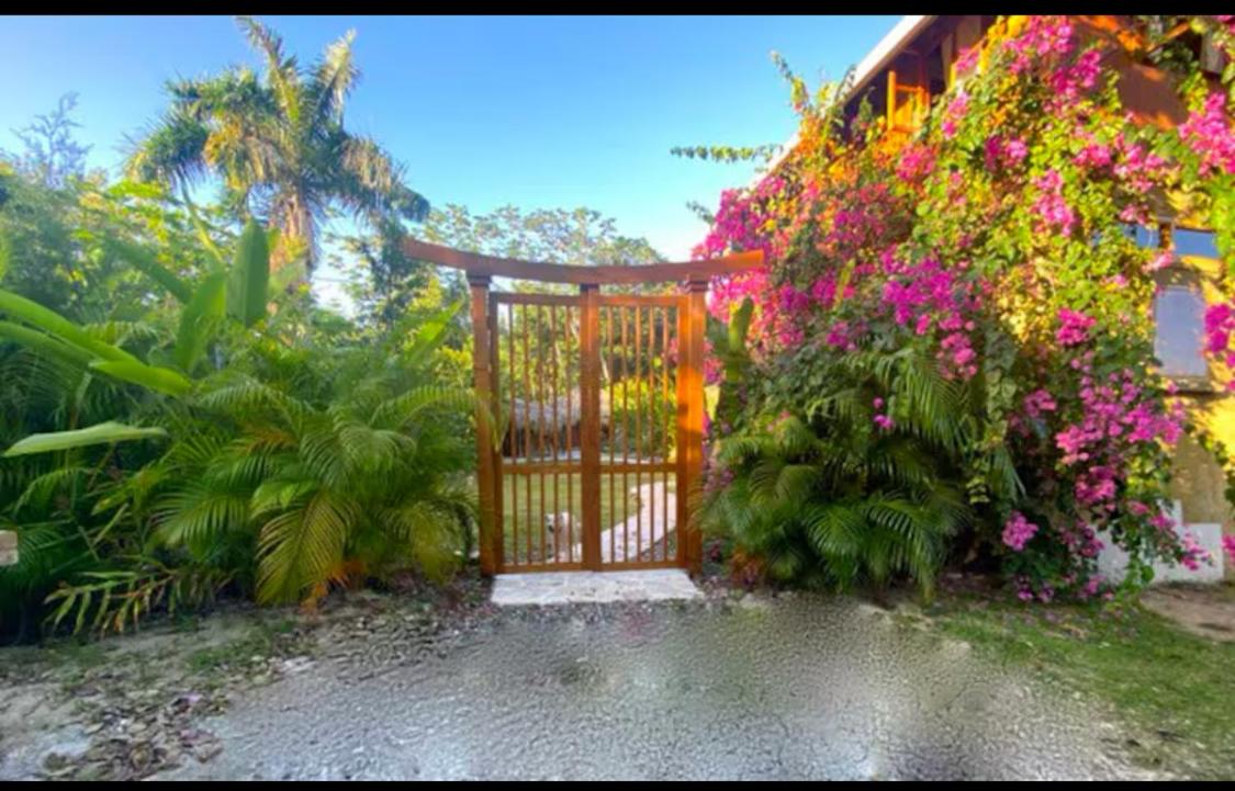 Magical Port Antonio Close to Blue Lagoon Frenchman's Cove