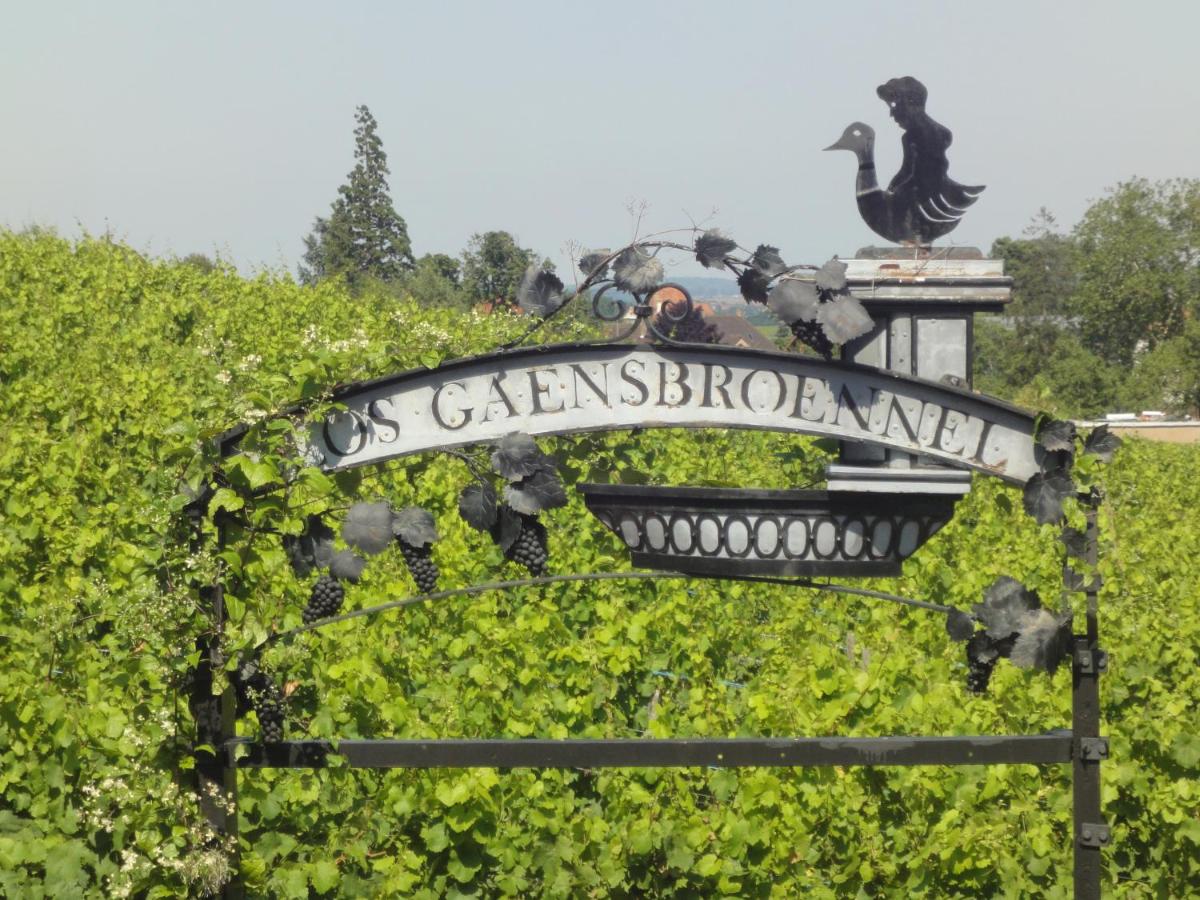 Calendrier Des Plantations 2023 Le Bacchus, Barr – Updated 2022 Prices
