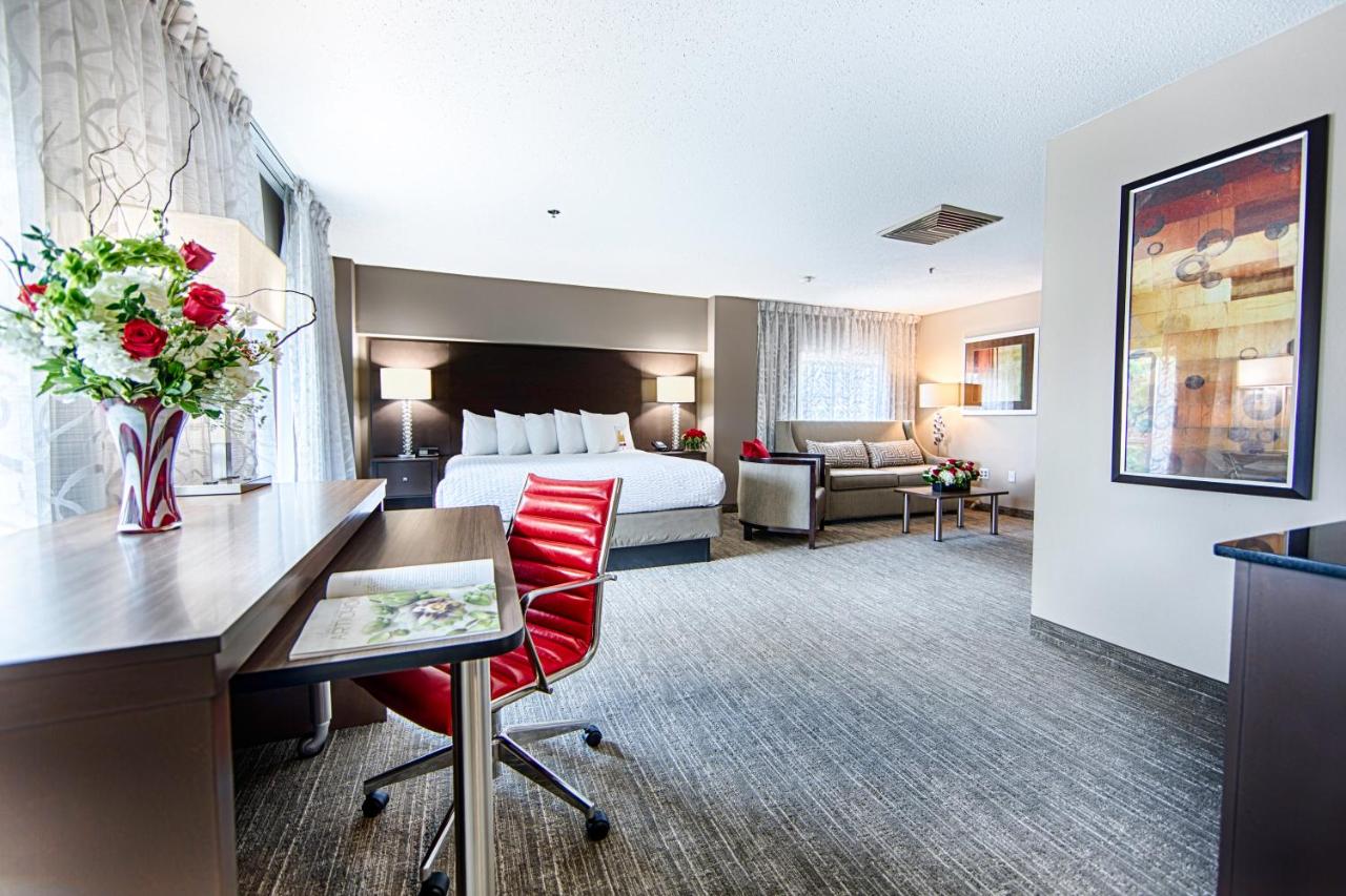 Hotel Capstone — photo 22