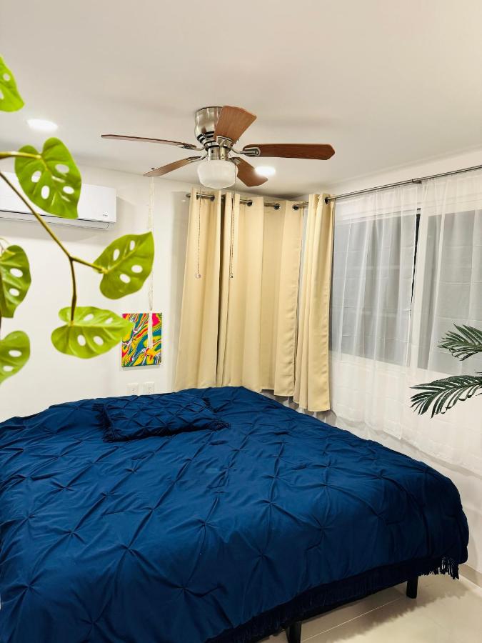 360 Oasis cuarto sensorial - Mercado 28 - 4