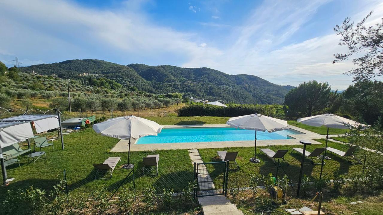 Agriturismo Verde Oliva - 4