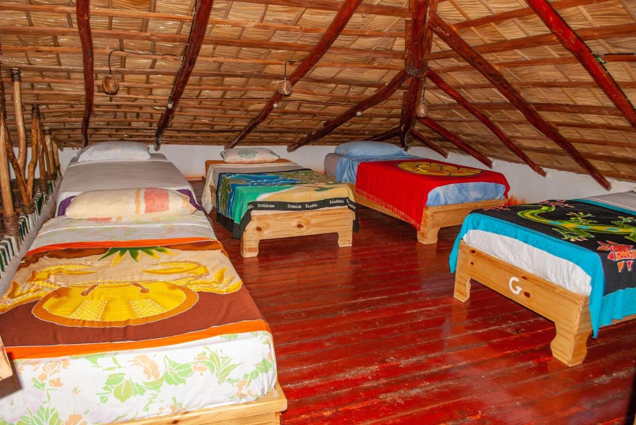 Hostel La Ballena Backpacker - 4