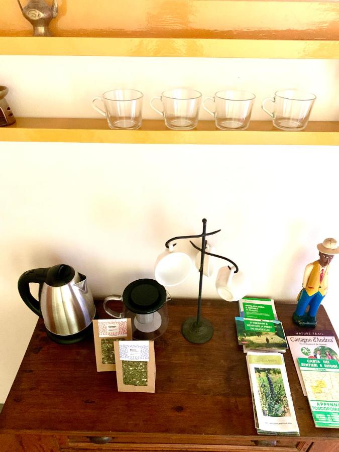 La Felce e il Mirtillo - 5