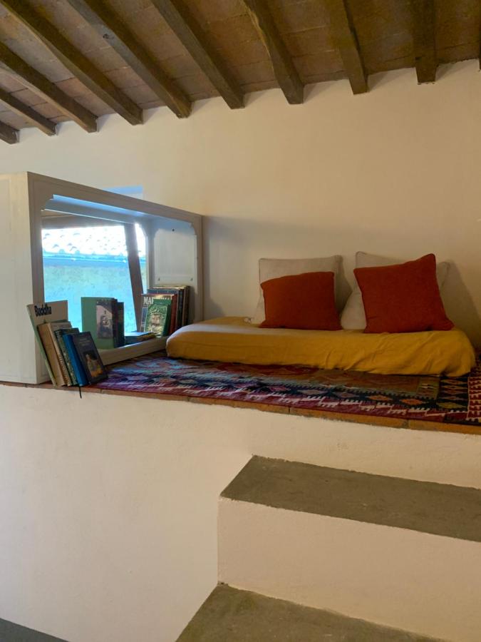 La Felce e il Mirtillo - 2