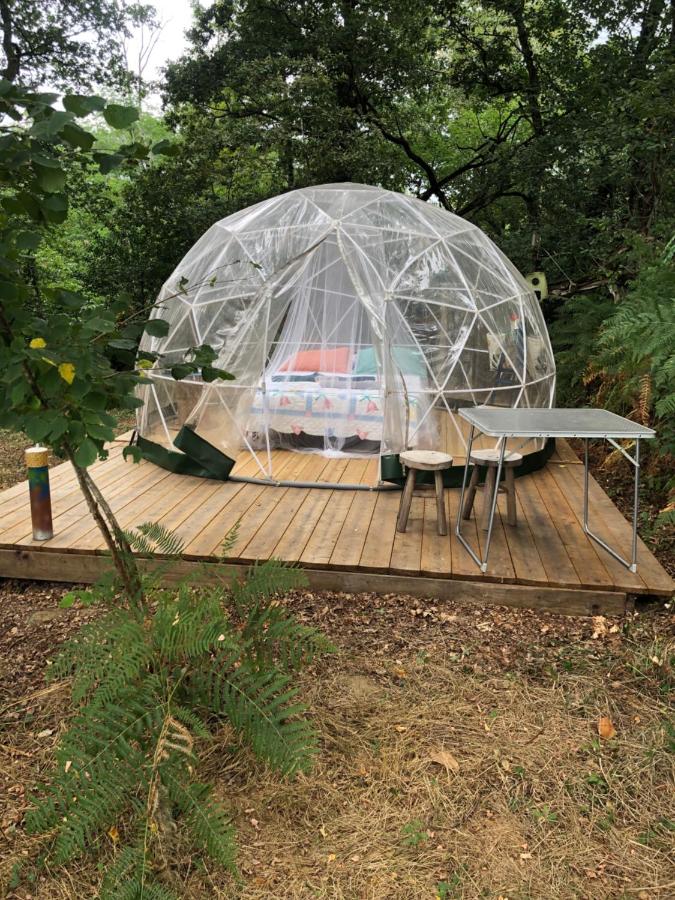 Bulle en Nature Landaise