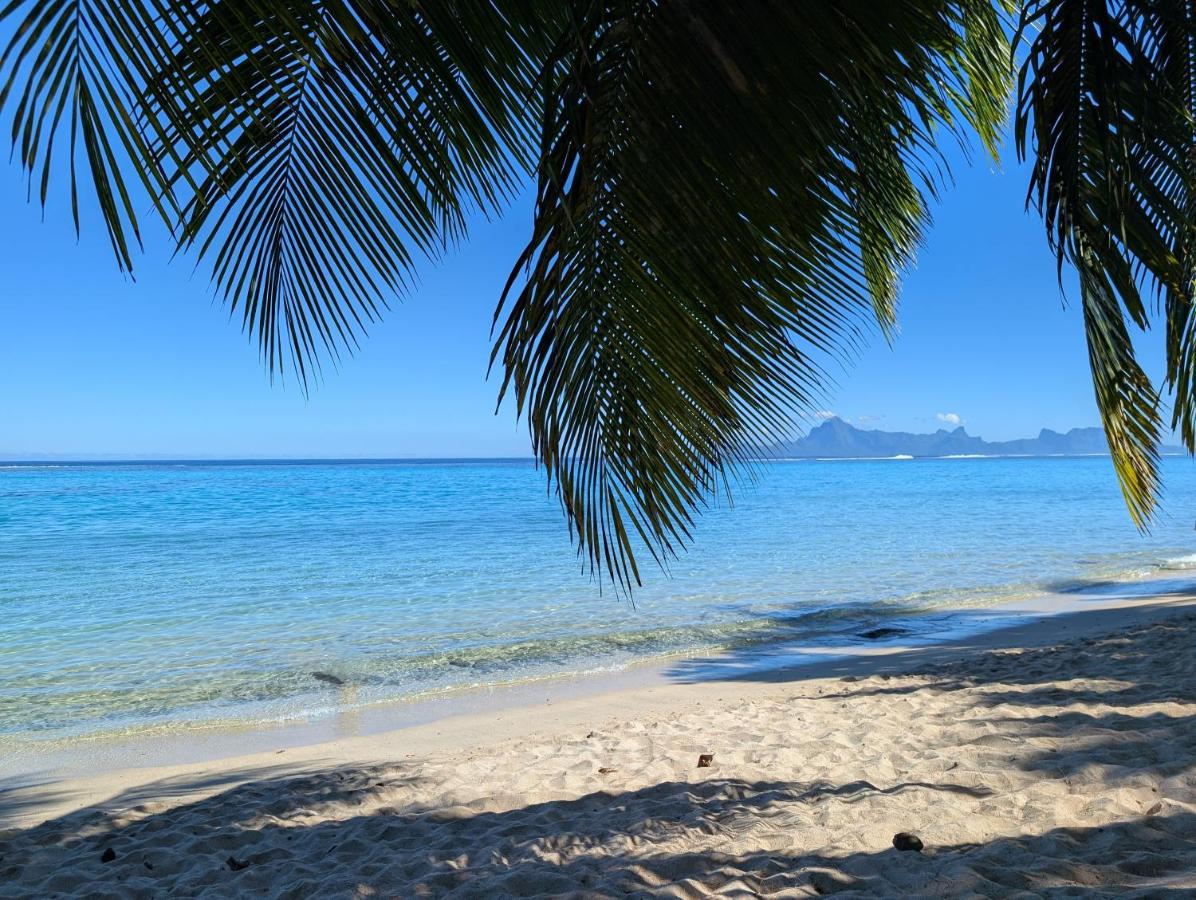 Iolana's Beach house - Beautiful Home