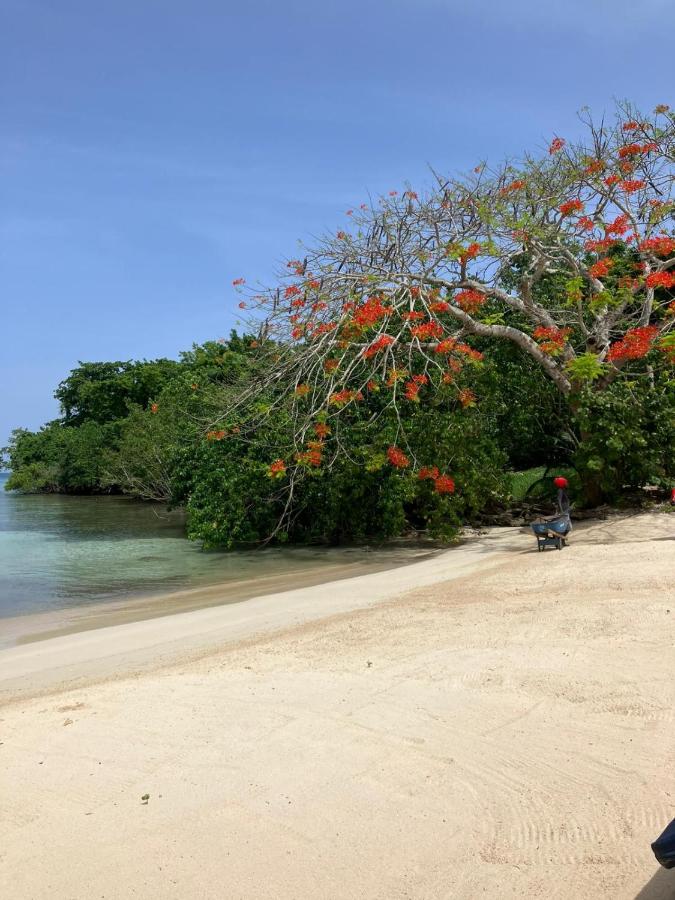 Marigold house Winchester Estate Hanover Jamaica - 3