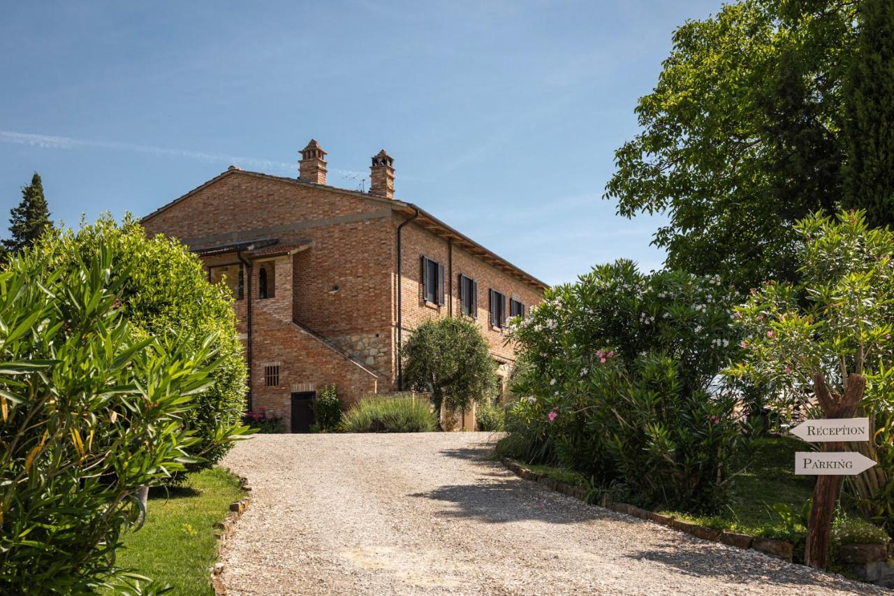 Agriturismo La Collina degli Olivi - 5