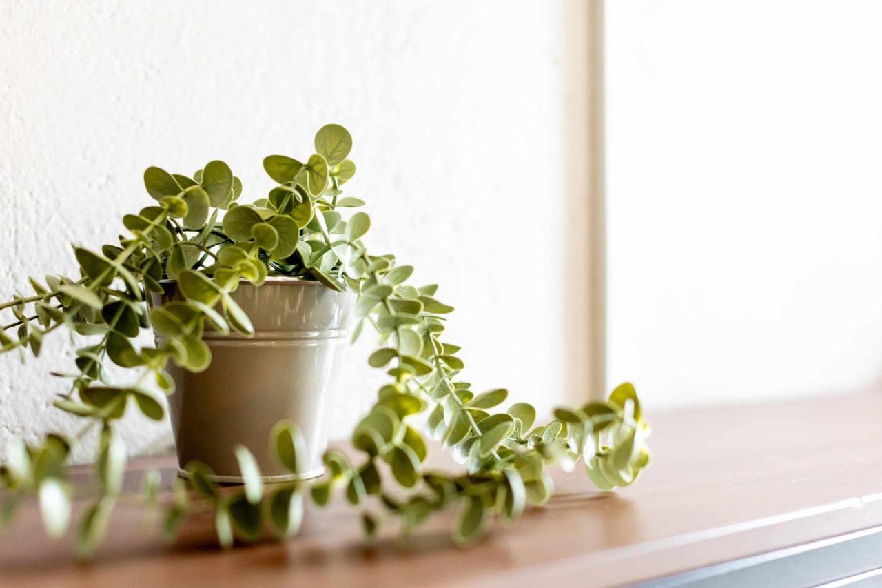 304 Balcony apt Walk to Zocalo AC Rooftop - 5