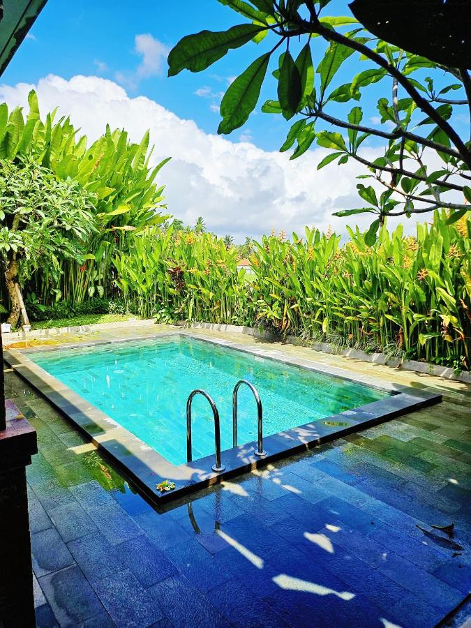 Umah Teba Villas - Rice Field View Private Haven w Shared Pool - 5