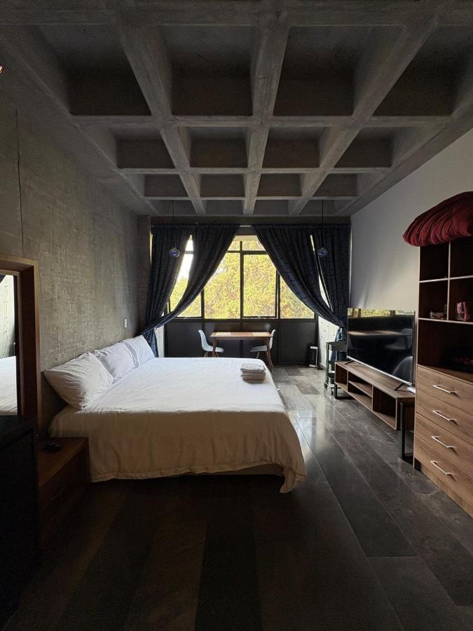 Loft in the Heart of Roma Norte - 3